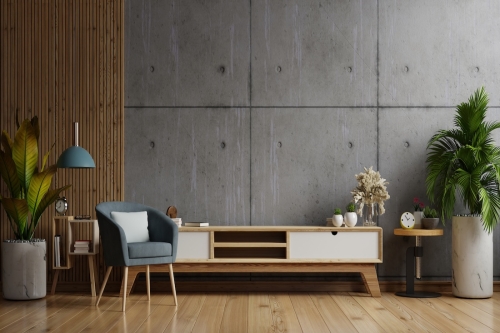 Cabinet,Tv,In,Modern,Living,Room,With,Armchair,lamp,table,flower,And,Plant